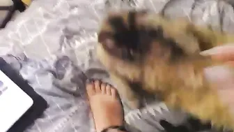 boootystar webcam 19.06.2019