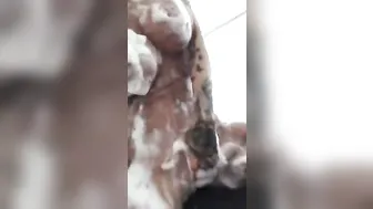 Lillyfee busty babe strips and jerks off her cunt