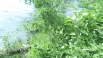 MrBigFatDick depraved slut