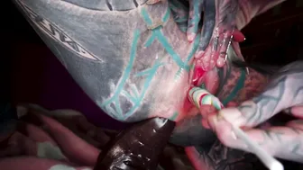 Anuskatzz manyvids record 5.10.2019