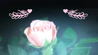 Effy Elizabeth manyvids spicy trash fucks herself with a dildo