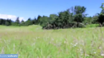 kati3kat manyvids black-haired nymph pulls pussy