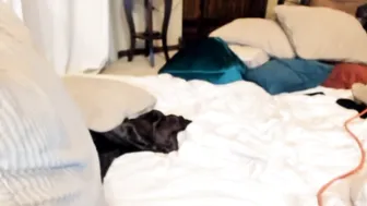 dakota_lynn lustful bitch shows tits