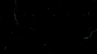 fiorafierce playing with my new toy teaser 2020 01 07 JMr9jO