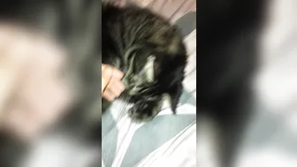 stormi maya onlyfans landed in cali . here???? my air b n b roomate lol