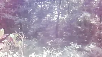 jalyn 4.08.2019 226_myfreecams