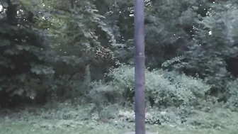 jalyn 5.08.2019 252_myfreecams