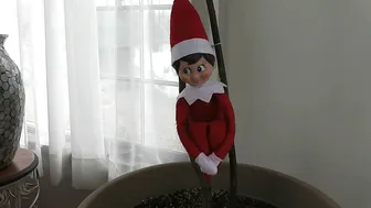 Maria Moore Mrs Claus Lets You Fuck Her Tits