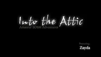 INTO THE ATTIC  _0043_Zayda_RT0_5