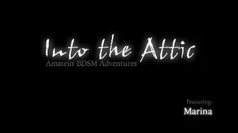 INTO THE ATTIC  _0027_Marina_RT0_CC1