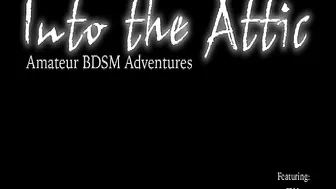 INTO THE ATTIC  _0055_Elise_RT4_5.