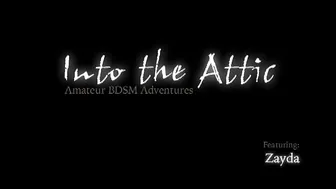 INTO THE ATTIC  _0043_Zayda_RT0_10 (1)