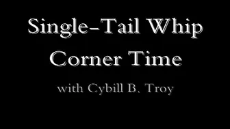 CYBILLTROY _Single_Tail Whip Corner Time (3)