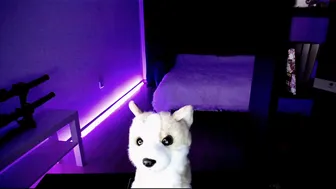 jollenne 0.06.2019 155 female chaturbate