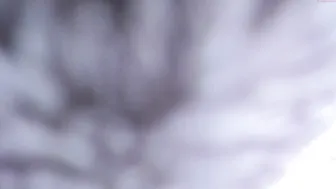 sassyt33n 9.04.2020 936_female chaturbate