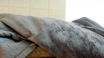 tunderose 5.04.2020 130_female chaturbate