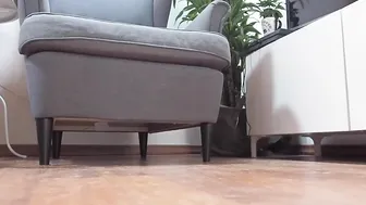 lola roses lola bunny 720p