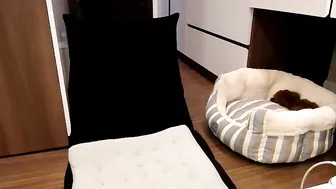 yeu_asian 6.04.2020 028_female chaturbate