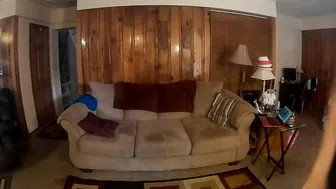 annabelle bestia pokemon trianer