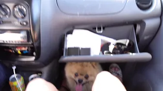 Elise aka Siswet19 _2019-04-27 _1