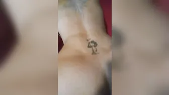 Aryana Augustine _[0374585] Pop Shot! [2017-07-12]