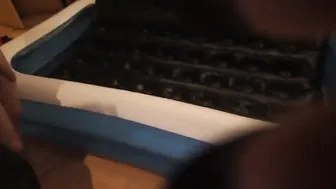 diversestacey.18.02.03.408.trying-to-get-cock-#battle