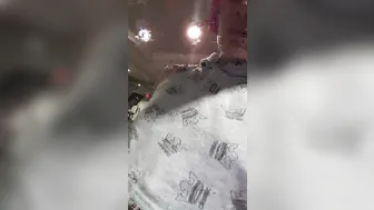 Savannah Fox onlyfans #team #nobra #slutworkout2018-01-19