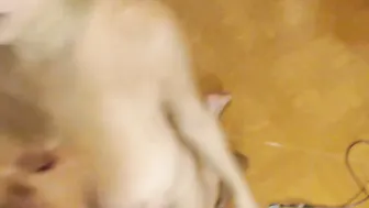 chuky_dream (yeka) grouphot's Cam Show @ Chaturbate 2018 03 12