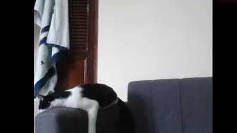 pink_fuck 6062020 341_couple webcam