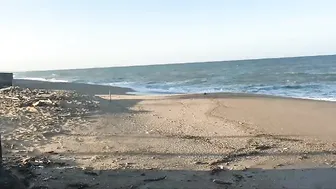 Emanuelly Raquel manyvids 242 - Sucking And Fucking On The Beach