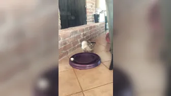 hotwiferio 01.04.2020 28838080 Good morning