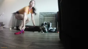 aidrafoxx 29 05 2018 2459534 A little Luna play time today p