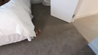 miss_swedish_bella 14 08 2020 97990785 New video coming out this evening Me and isabel