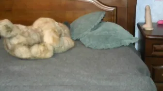 zlata_butterfly 6.08.2020 227_female chaturbate