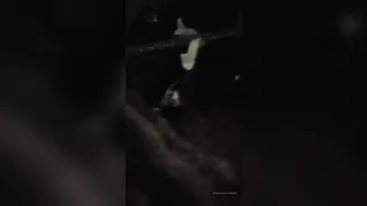 paolaferrer081891 Sunday vibes lol