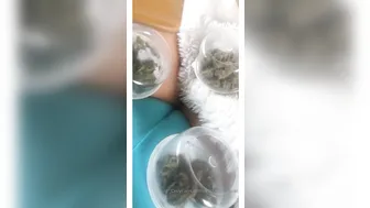 missmeforever 19.09.2019 Recorded this show for my Premium and I thought you