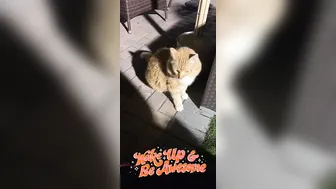 kayleighcoxx84 Chelsea let me eat her cum. New premium vid tomorrow