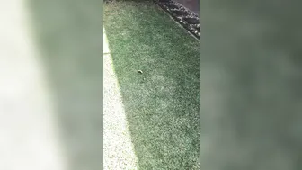 downundercple When the weather is just to nice to stay inside ..