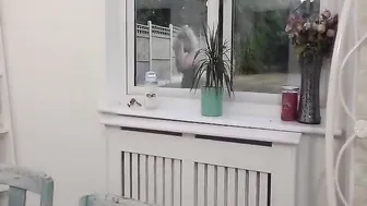 bethundressed 07.08.2018 being neighbourly