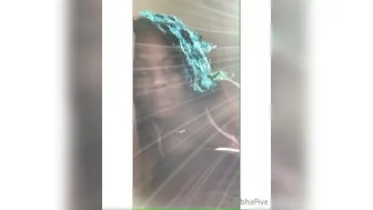 moniquebrownie 19.07.2020 Sunday flicks