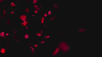 victoriaveritas huge cock rating reveal and reaction