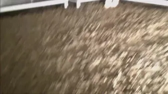 Emily Balfour 4qPa3DYIuscrnhSa2bOjveLHjSlSgwTQ