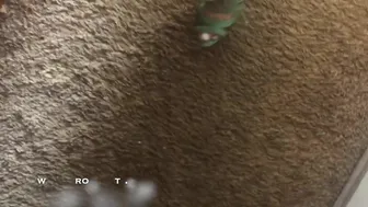 Iamyetti HOT NEIGHBOR ManyVids