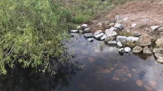 Kelsi Monroe onlyfans 2017 11 09 4804294