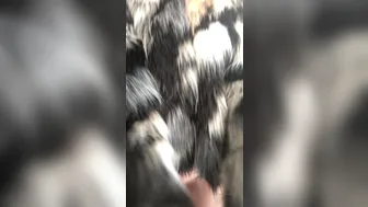 Alix Lynx onlyfans 06 11 2019 81021864