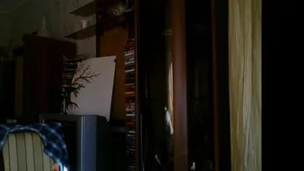 alisa_newbie 4.03.2021 203 female chaturbate