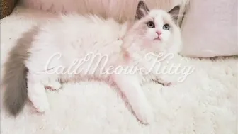 Kitty OF 2019 12 03 pink kitten my first onlyfans post