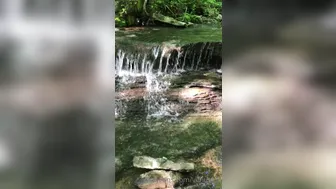 Venus Lux 2020 05 28 369541493