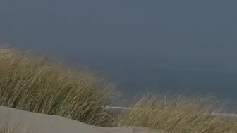 veronagymnast 08 04 2020 3