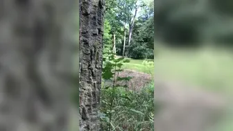 TS Sally onlyfans_20-07-15 33381154 I was sucking his dick in the Sanssouci park in Potsdam and we were so clos(..) 480x848